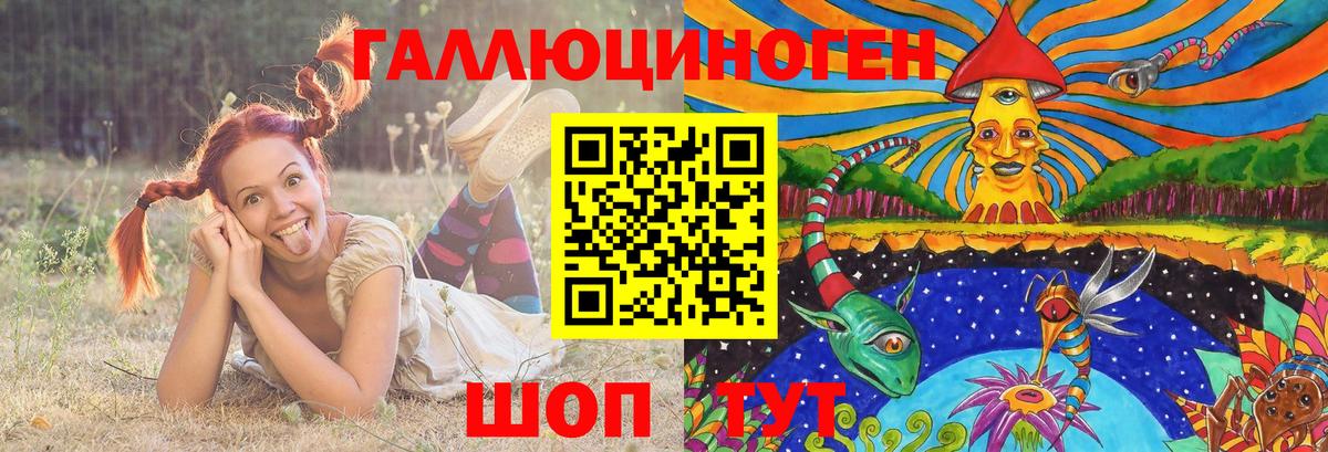 Галлюциногенные грибы Psilocybe  Псилоцибиновые грибы GOLDEN TEACHER  Великий Новгород  Вход с VPN 