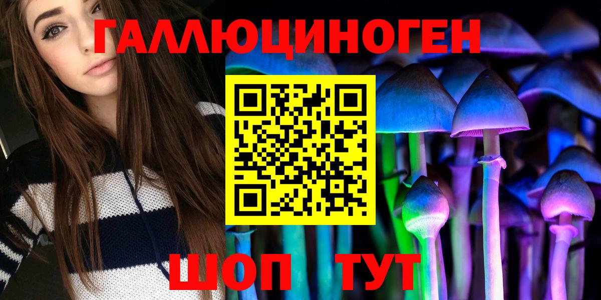 Галлюциногенные грибы Cubensis Великий Новгород